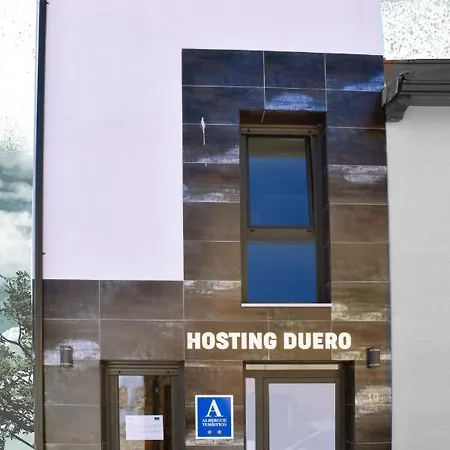 Hostel Hosting Duero Pesquera de Duero